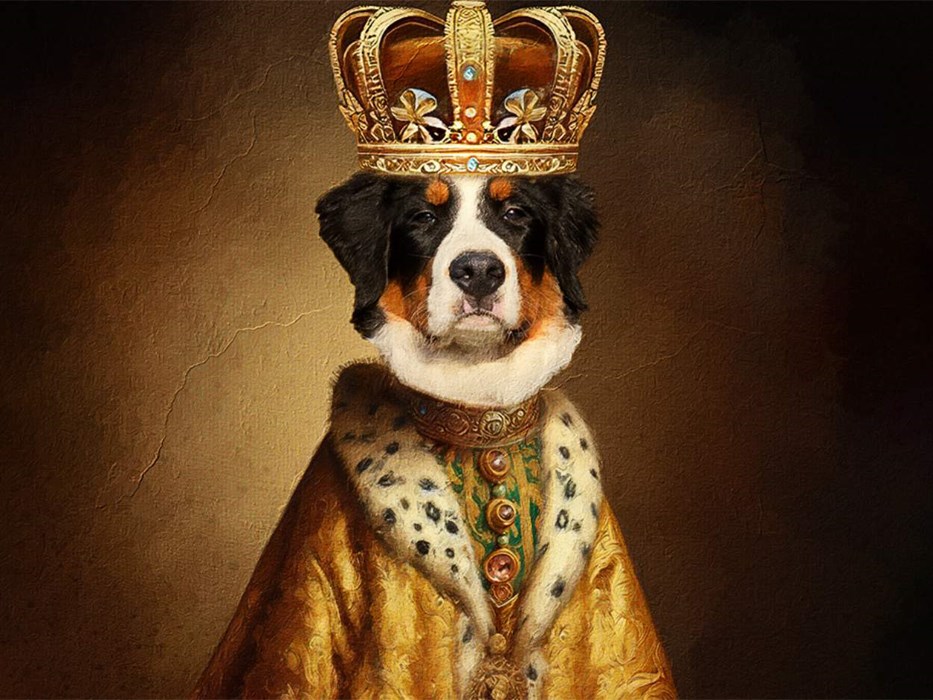 Royale Portraits Tiere