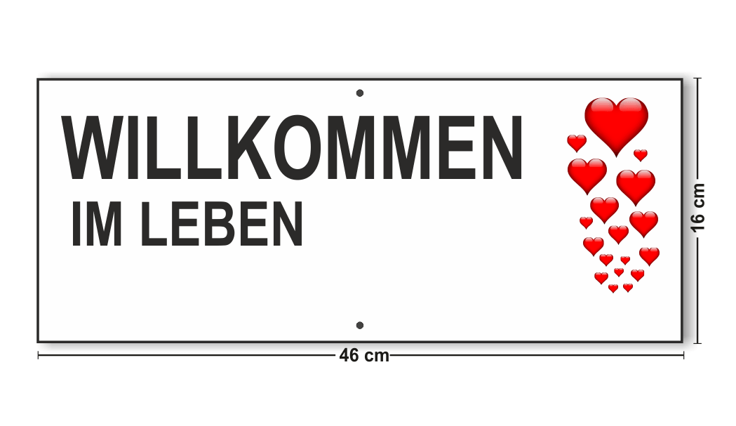Beschriftungstafel 46x16 cm