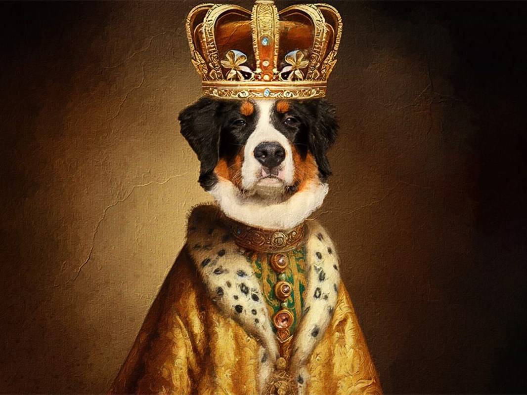 Royale Portraits Tiere
