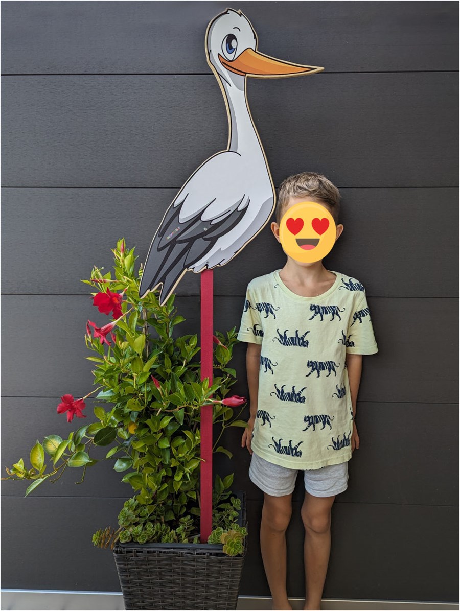 Kleiner Storch zur Geburt - Größenvergleich mit Kind (8 Jahre)