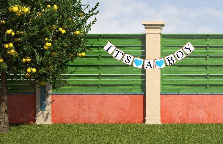 It's a Boy Banner / Girlande zur Geburt Baby, blau