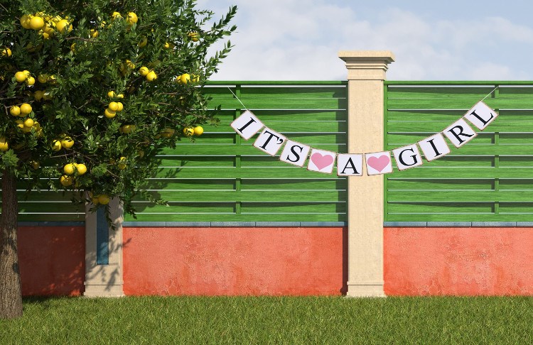 It's a Girl Banner / Girlande zur Geburt Baby, rosa