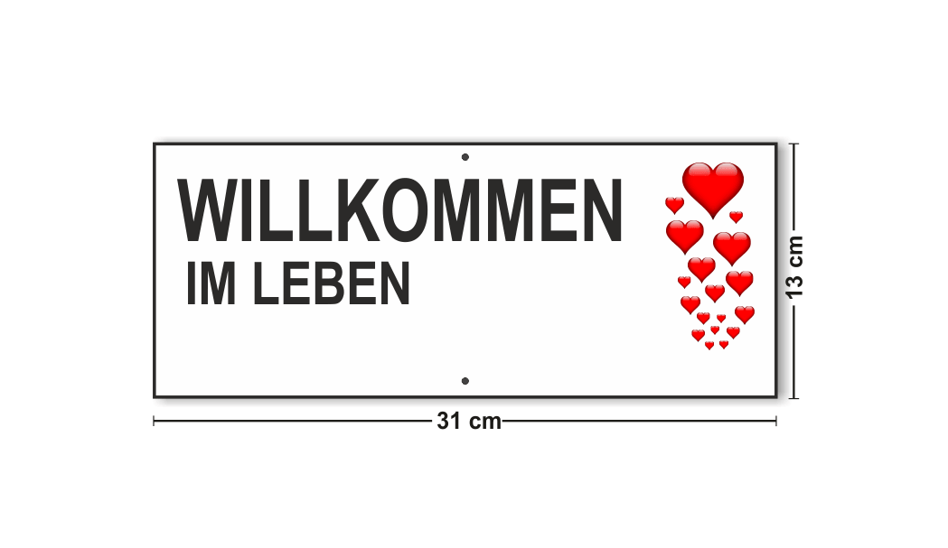 Beschriftungstafel 31x13 cm